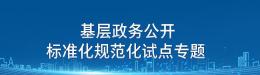 基層政務公開標準化規范化專題